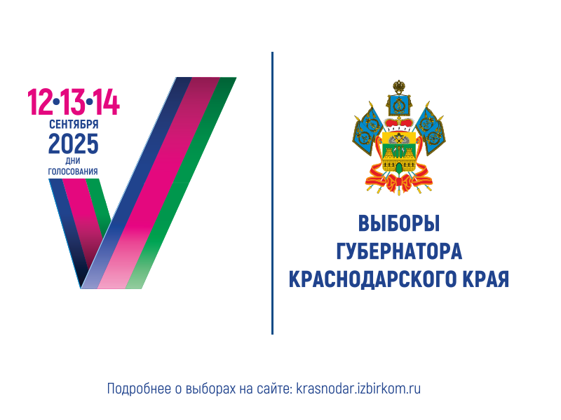Выборы