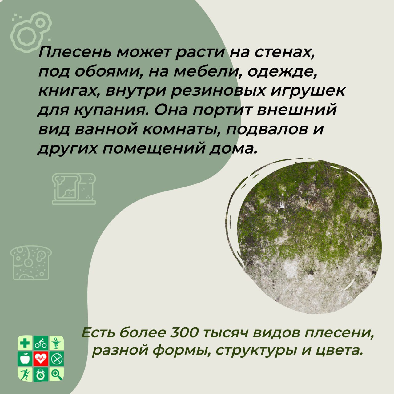 photo 2025 11 01 19 49 55