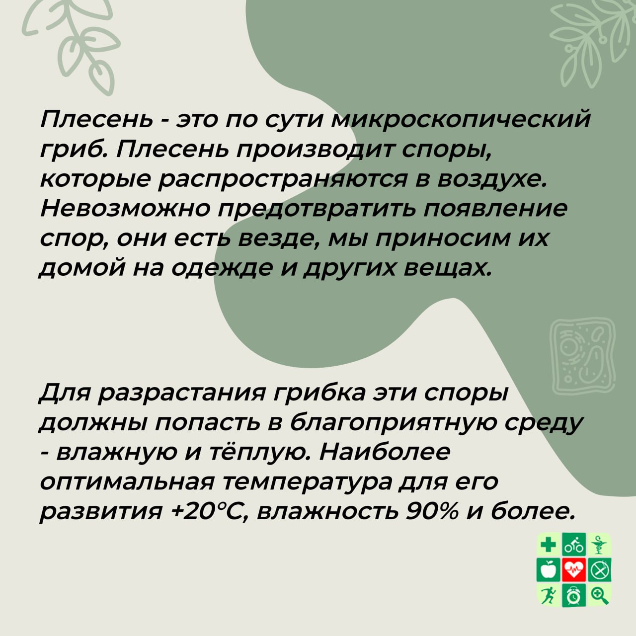 photo 2025 11 01 19 49 58