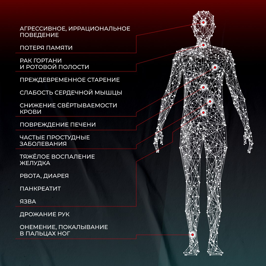 photo 2025 12 08 11 45 10