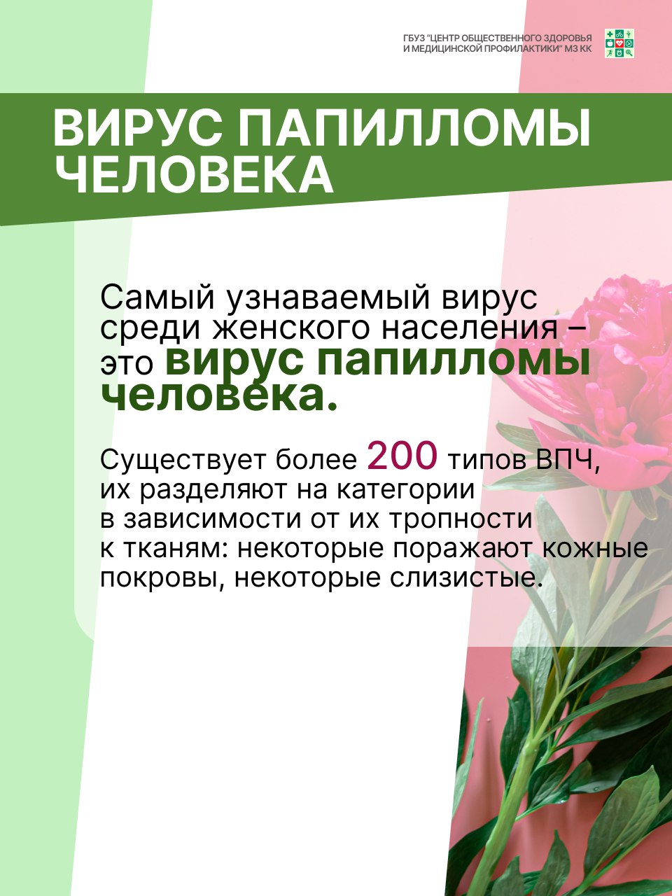 photo 2025 07 18 13 29 59