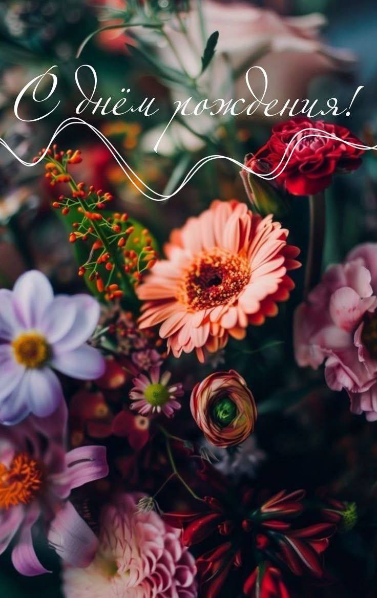 photo 2026 01 30 11 33 07