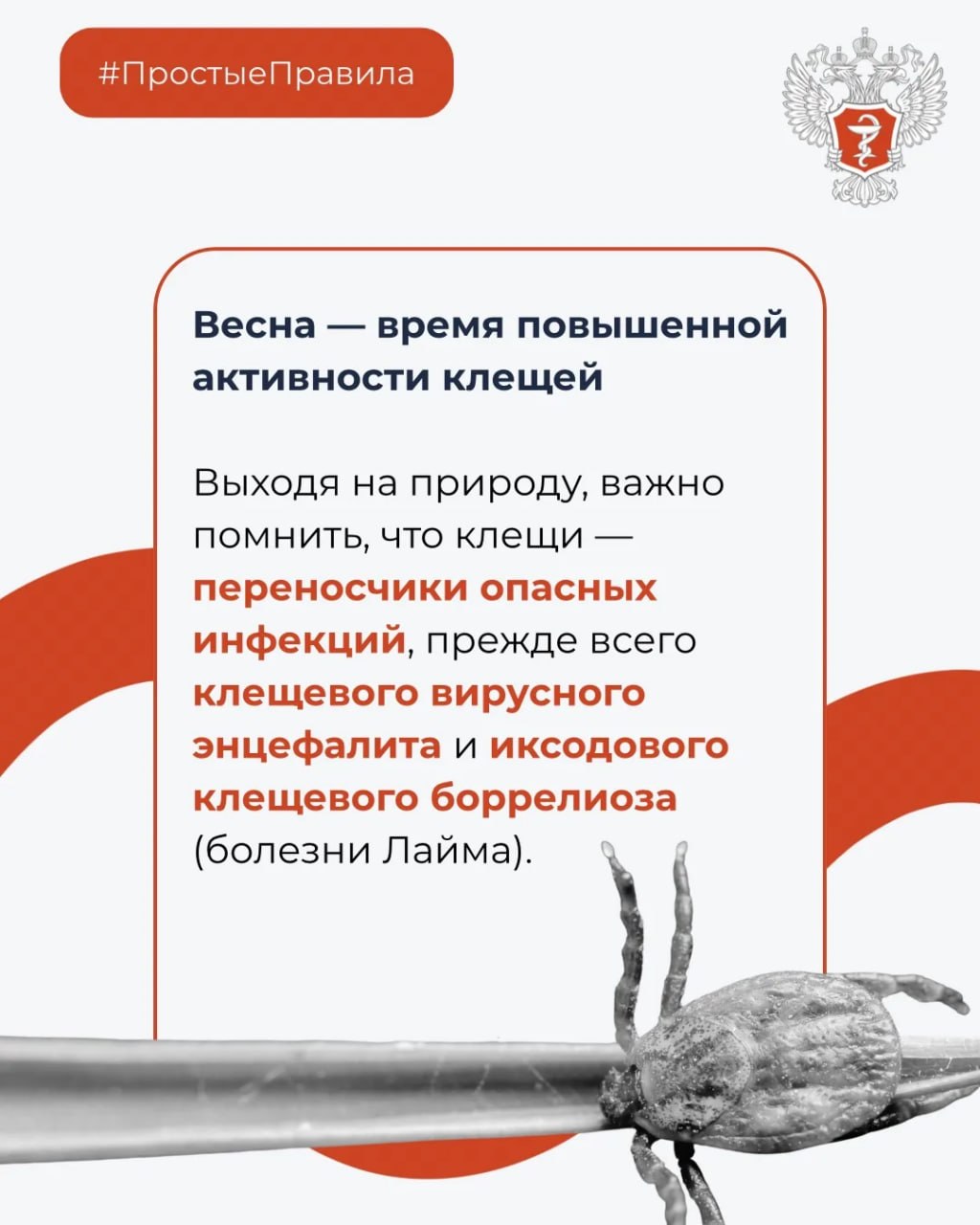 photo 2026 03 27 15 11 05