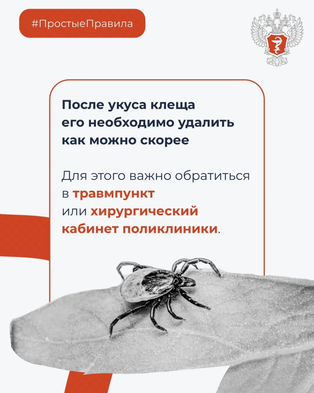 photo 2026 03 27 15 11 09