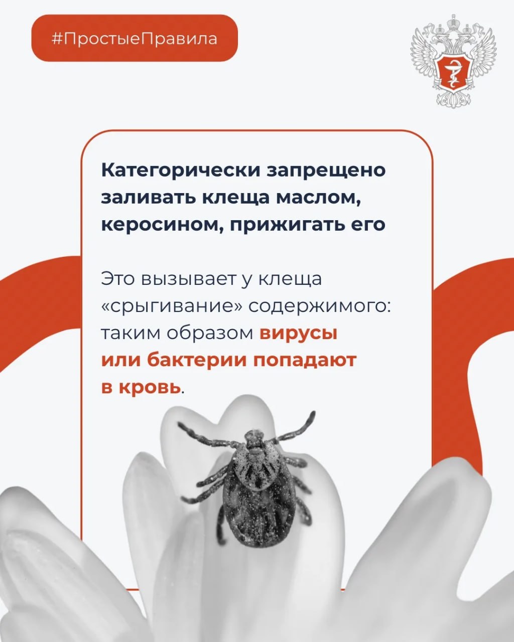 photo 2026 03 27 15 11 12