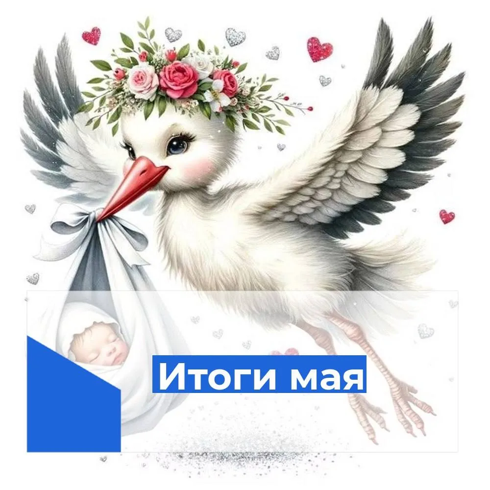 IMG 20260602 151032
